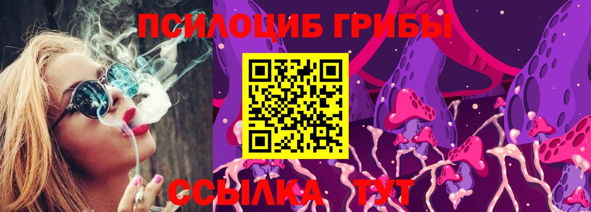 Галлюциногенные грибы GOLDEN TEACHER  Вход с VPN  Феодосия  Псилоцибиновые грибы мицелий 